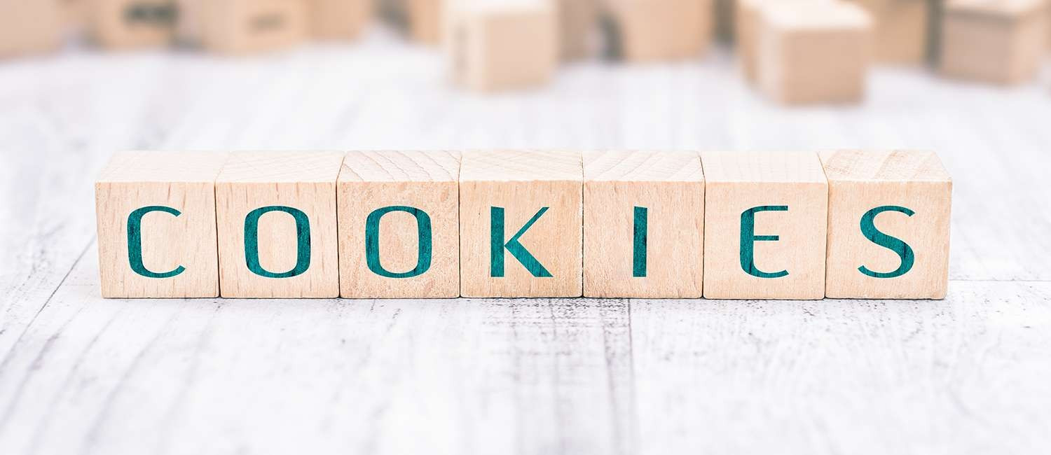BRAVO INN WEBSITE COOKIE POLICY